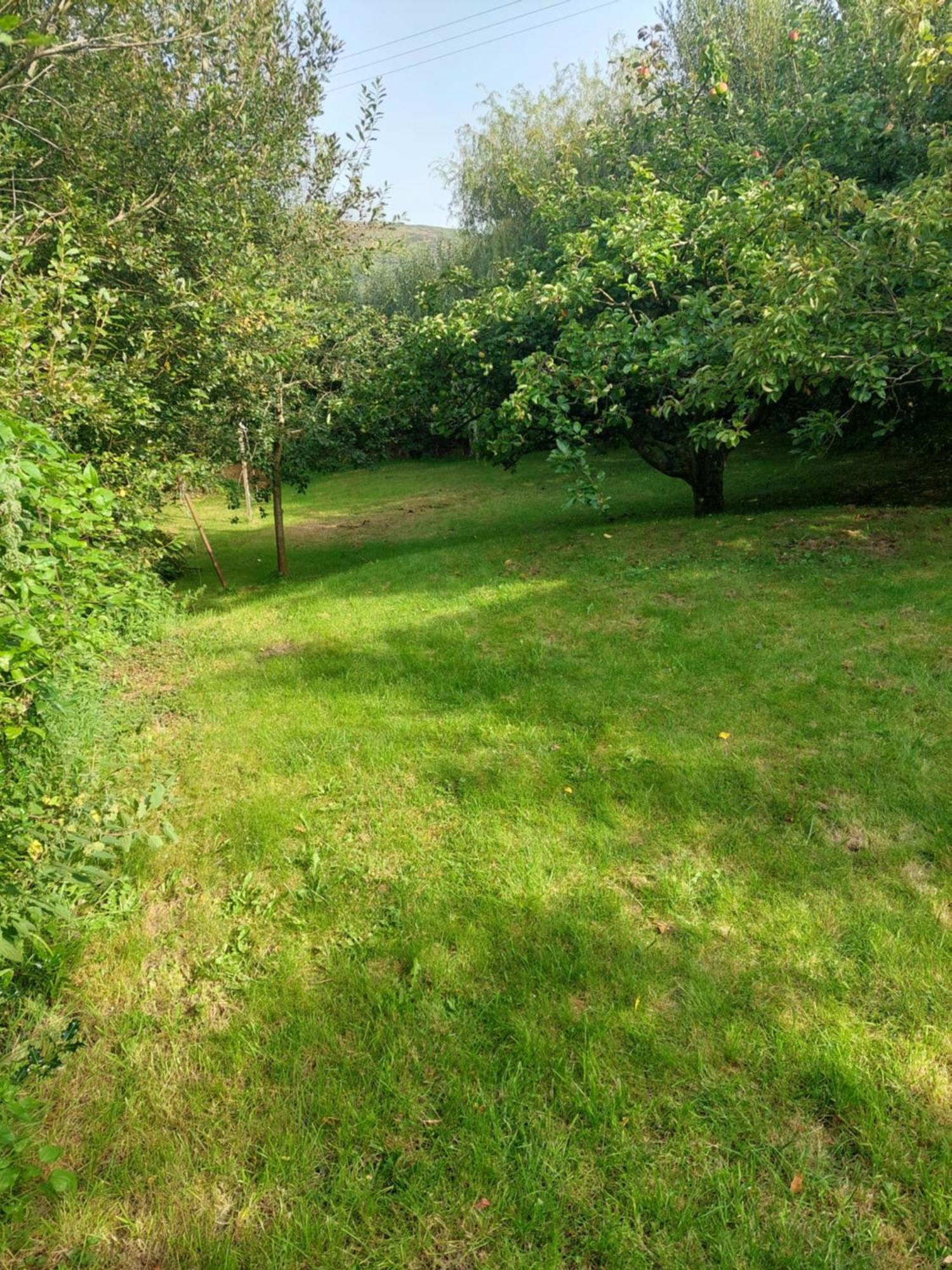 Holiday home The Cosy Pad Glan Y Morfa Bach *